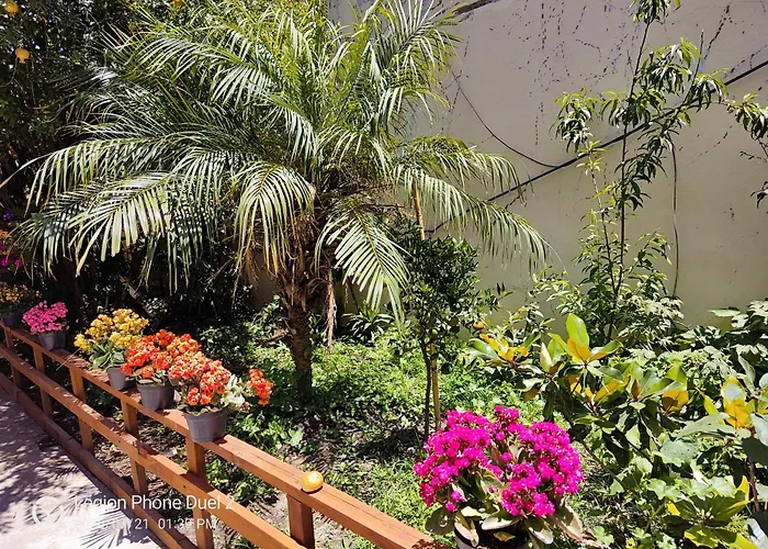 Casa De 1 Piso Con Jardin Cerca Del Aeropuerto Cdmx 3 Recamaras Y Parking Mexiko-Stadt