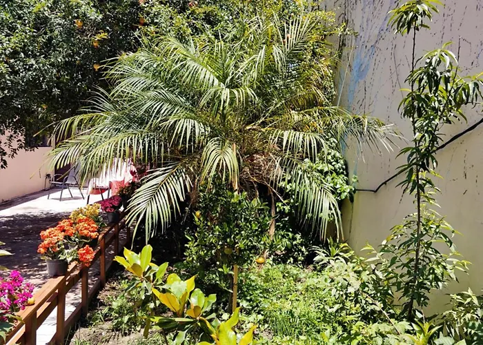 Casa De 1 Piso Con Jardin Cerca Del Aeropuerto Cdmx 3 Recamaras Y Parking Mexiko-Stadt
